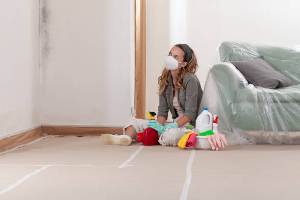 Reliable Mold Removal contractor in Newton Center, MA by Car Mold Remediation